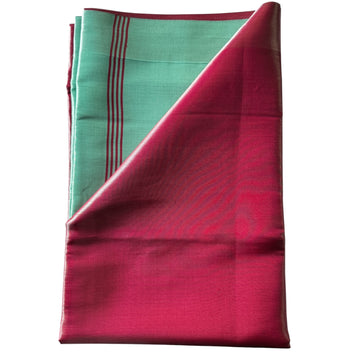 Tissue saree