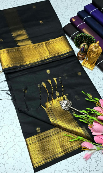 Maheshwari with Border (Silk Cotton)