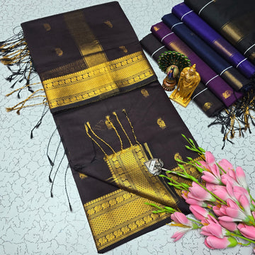 Maheshwari with Border (Silk Cotton)