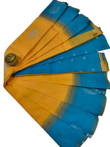 Chidambaram Pattu